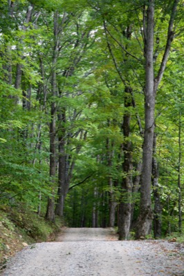 Rolling Dirt Road