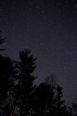 Dark Night