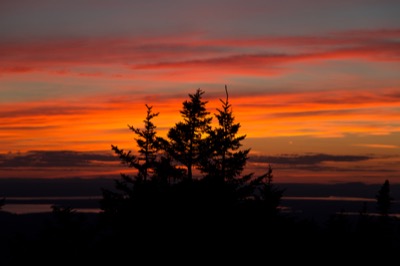 Vibrant Striped Sunset with Tree Silhouettes