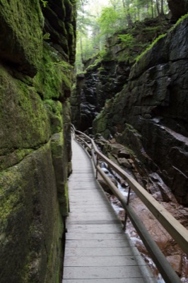 Narrow Boardwalk Along Mossy Cliff Walls