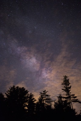 Stars Over Tree Silhouettes