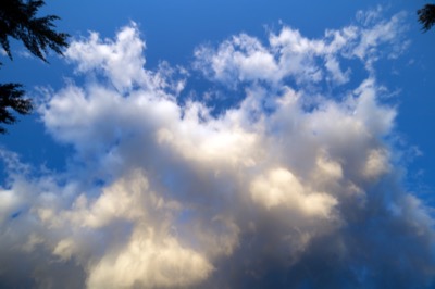 Bright Cloud
