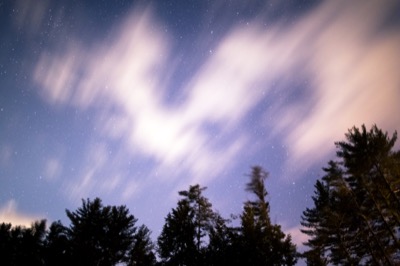 Blurry Clouds Over Dark Trees