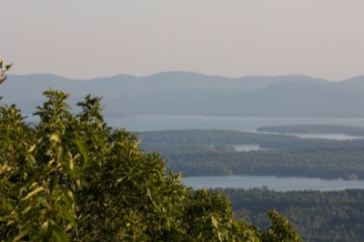 Lake Islands and Trees