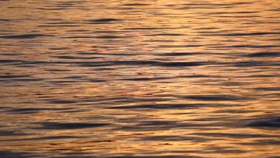 Golden Water Ripples
