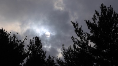 Moody Sun Clouds Trees